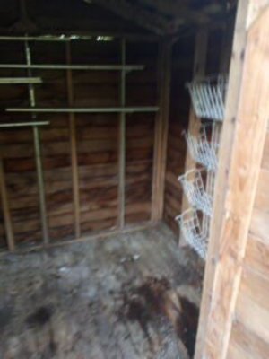 general junk removal and demolition - doing demolition for three story house plus basement pulling up all carpets clean up junk and demolition pulling up carpets