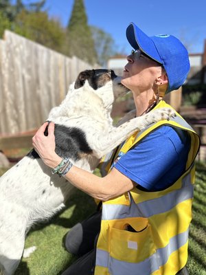 Meet my new furry friends! - These are my new furry friends I’ve had the pleasure to work with this past week! Meet my new furry friends! - These are my new furry friends I’ve had the pleasure to work with this past week!
