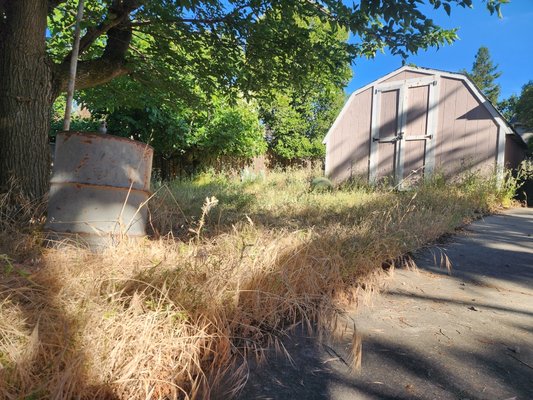Weeds - Cut, raked and hauled weeds Weeds - Cut, raked and hauled weeds