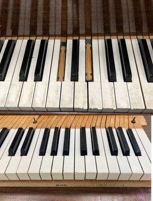 Florence K-8 Knabe Grand Piano - This 70 year old Knabe Grand Piano is located in the band room at Florence K-8. It hadn’t been tuned in years and had never been thoroughly cleaned. Strings were rusty, and keys and hammers were broken. After repairing, cleaning, and tuning, this was a nice practice piano for the kids. No charge for this service, just wanted the kids to have something that looked good and sounded so much better! Florence K-8 Knabe Grand Piano - This 70 year old Knabe Grand Piano is located in the band room at Florence K-8. It hadn’t been tuned in years and had never been thoroughly cleaned. Strings were rusty, and keys and hammers were broken. After repairing, cleaning, and tuning, this was a nice practice piano for the kids. No charge for this service, just wanted the kids to have something that looked good and sounded so much better!