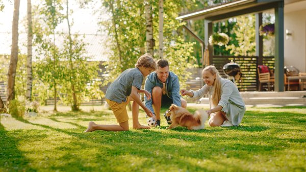 Lawn Care & Pest Control in Fort Worth - We do regular service to fertilize your lawn, prevent weeds from taking over, and provide control over grubs taking over your lawn. Additionally, we can provide tree & shrub service, as well as mosquito service & preventative pest control to keep critters and inspects out of your living space!
