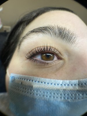 Lash Lift & Tint - Natural lashes are permed using a gentle chemical procedure using products that does NOT include Sodium bromate 

I select the best silicone shields on the market that will hold best curl and lift, then comb and adhere the natural lashes using a water dissolvable adhesive. I make sure all the lashes are laying correctly and comfortably on top eye lid. After I use a lift &setting solutions that breaks down the disulfide bonds of the natural lashes then hydrate with lash botox, tint is optional