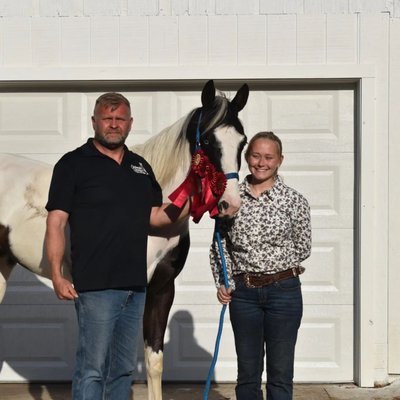Horseback riding lessons - The basic understanding of handling and riding a horse.. Horseback riding lessons - The basic understanding of handling and riding a horse..