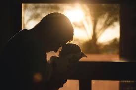 A New Wife, A New Baby, A New Life... - In a mother's own words... "I cannot say enough good things about La Ventana. They helped to save my son's life. The staff became our family. The love and support they showed our family was priceless. My son has been sober for 5 years, is now married, and just welcomed his first son. If not for La Ventana our story could have had a very different ending. I will be forever grateful. A New Wife, A New Baby, A New Life... - In a mother's own words... "I cannot say enough good things about La Ventana. They helped to save my son's life. The staff became our family. The love and support they showed our family was priceless. My son has been sober for 5 years, is now married, and just welcomed his first son. If not for La Ventana our story could have had a very different ending. I will be forever grateful.