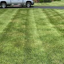 Landscaping Services - Call me for any of your landscaping or lawn service needs! No job is too big or too small so call today!