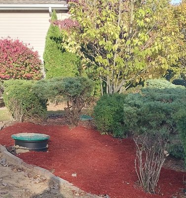 Septic System Repair & Installation - Fast, Reliable Septic System Repairs – Protect Your Property!
When your septic system acts up—slow drains, bad odors, strange noises, or ala