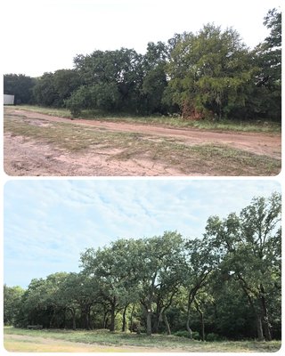 Tree Pruning & Removal - This Customer wanted to clean up her trees by her pond. We raised the canopy"s, cleaned out the dead wood and removed all the elm trees leaving only oak trees. We haul off all brush and debris leaving the area free of limbs and debris. This project took roughly 3.5 Days. Tree Pruning & Removal - This Customer wanted to clean up her trees by her pond. We raised the canopy"s, cleaned out the dead wood and removed all the elm trees leaving only oak trees. We haul off all brush and debris leaving the area free of limbs and debris. This project took roughly 3.5 Days.