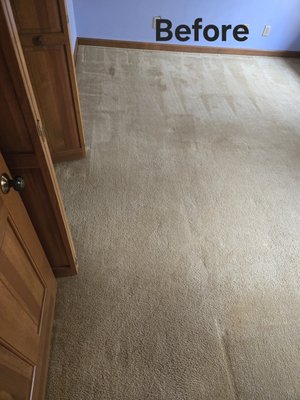 before and after - cleanings of carpet areas of before and after before and after - cleanings of carpet areas of before and after