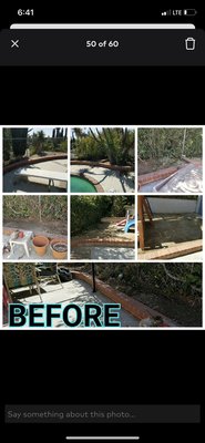 Yard Cleanup - Yard cleanup. Yard Cleanup - Yard cleanup.