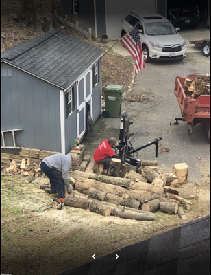 Expert Tree Removal Job - Expert Tree Removal
When deciding whether you should remove a tree, it's crucial to have a professional tree company inspect it; sometimes, tree damage may not be detectable. Our team of knowledgeable tree care specialists can help. We remove trees using only the safest techniques and equipment. Safety is always our number one priority at DB Trees.
Our Tree Removal Service Includes:
Small Tree Removal
Oversized & Tall Tree Removal
Damaged Tree Removal
Dead & Diseased Tree Removal Expert Tree Removal Job - Expert Tree Removal
When deciding whether you should remove a tree, it's crucial to have a professional tree company inspect it; sometimes, tree damage may not be detectable. Our team of knowledgeable tree care specialists can help. We remove trees using only the safest techniques and equipment. Safety is always our number one priority at DB Trees.
Our Tree Removal Service Includes:
Small Tree Removal
Oversized & Tall Tree Removal
Damaged Tree Removal
Dead & Diseased Tree Removal