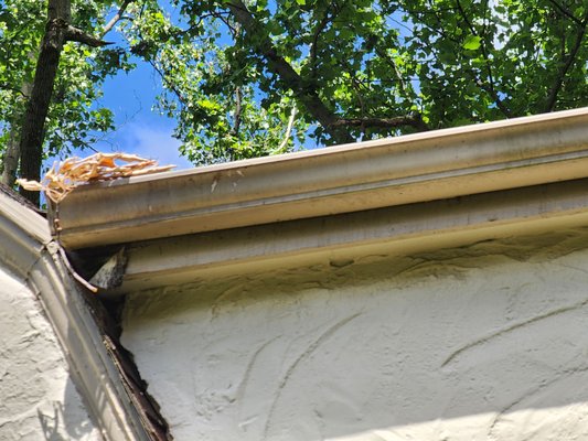 Fascia and gutter replacement - Big day for Stern Gutters today: Started with pooled water in the gutter and rotten fascia, which translates into a concerned homeowner. 

Danny worked hard, did his magic and had some fun with it. Old gutters came off, and rotten facia got replaced with a new pretty shiny one. New gutters and some gutter protection as a cherry on the top. 

Result? Happy property owner!