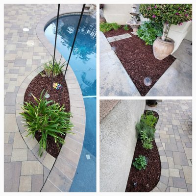 Mulch Installation - Mulch Installation
Choose from Brown, Black or Red Wood Mulch Mulch Installation - Mulch Installation
Choose from Brown, Black or Red Wood Mulch