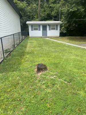 STUMP GRINDING - Customer hated seeing his old stump in his yard, we helped him out with stump removal. Much easier for mowing now.