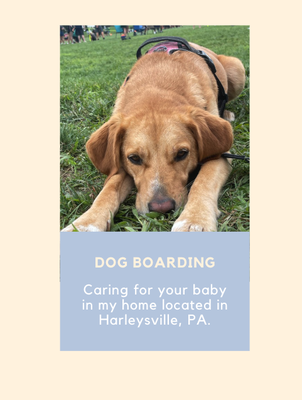 Services - We offer reliable dog boarding and walking services, tailored to your dog's needs. Happy dogs, happy owners! Visit my website to schedule a free cosnultation