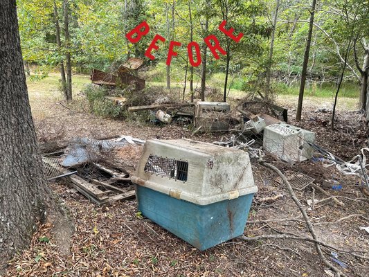 Yard clean out 2023 - Yard clean up Yard clean out 2023 - Yard clean up
