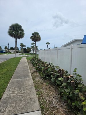 trimming - cut back and removal of dead material left from the February freeze. cleaned up and ready for a fresh start.
