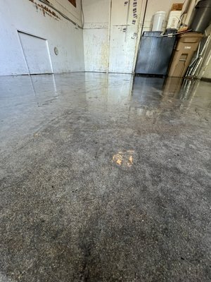 Restaurant Garbage area service! - This customer wanted their buildings garbage area serviced. From years of heavy use from both restaurants, the area was definitely in need of some work, with the ending result looking much better, this customer signed up for a recurring service every 6 months & added an additional service to there sidewalks for their restaurant.
