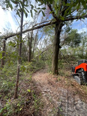 Storm Debris Removal - storm debris cleanup services offered.