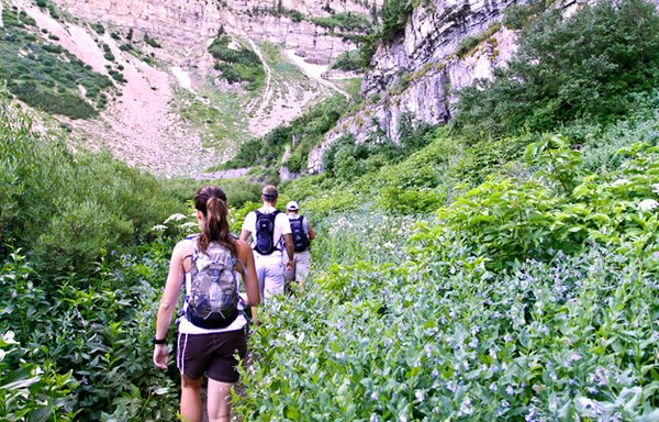 Visitor Information - Explore Utah Valley is your gateway to experiencing the remarkable and diverse wonders of Utah Valley. With a mission to inspire, inform, and guide visitors, this organization serves as a comprehensive resource for those looking to immerse themselves in the natural beauty, cultural richness, and recreational opportunities that the region has to offer.

Whether you're a nature enthusiast, a history buff, an adventure seeker, or simply someone looking to unwind in a picturesque setting, Explore Utah Valley is dedicated to curating an unforgettable experience tailored to your preferences. The organization provides an array of services and information to help you plan your journey, including:

Destination Information: From the majestic peaks of the Wasatch Mountains to the serene shores of Utah Lake, Explore Utah Valley offers detailed information about the region's attractions, landmarks, and hidden gems. Learn about hiking trails, scenic drives, historic sites, art galleries, and more.

Event Listings: Stay updated on upcoming events, festivals, performances, and local happenings. Explore Utah Valley keeps you informed about a wide range of cultural, recreational, and entertainment activities taking place throughout the year.

Travel Tips: Whether you're a local looking for a weekend getaway or a traveler from afar, you'll find practical travel tips, accommodation suggestions, transportation options, and dining recommendations to enhance your stay.

Outdoor Adventures: Utah Valley is a haven for outdoor enthusiasts. Explore Utah Valley offers insights into activities such as hiking, camping, rock climbing, skiing, and water sports, helping you make the most of your time in the great outdoors.

Cultural Insights: Discover the rich history and cultural heritage of the region through informative articles and guides. Explore museums, historical sites, and art venues that showcase the vibrant spirit of Utah Valley.

Custom Itineraries: Tailor your visit to your interests with personalized itineraries. Whether you're traveling with family, seeking a romantic escape, or planning a solo adventure, Explore Utah Valley assists you in crafting a memorable journey.

Local Businesses: Support the local economy by exploring a directory of businesses in Utah Valley. Find boutique shops, artisanal eateries, and other unique establishments that embody the essence of the region.

Community Engagement: Beyond being a travel resource, Explore Utah Valley fosters a sense of community by connecting locals and visitors. Engage with fellow explorers, share experiences, and gain insights into the region's authentic culture.

In essence, Explore Utah Valley serves as a virtual compass, guiding you through a captivating landscape filled with awe-inspiring landscapes, engaging activities, and a sense of wonder that only this corner of the world can provide. Whether you're a nature lover, a history aficionado, or an adventurer at heart, this organization is your partner in unlocking the countless treasures of Utah Valley.