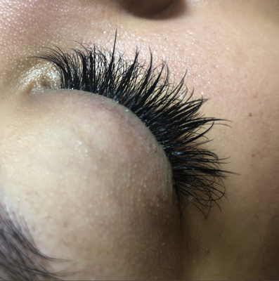 Lash Extensions - Enhance your natural beauty with our professional lash extension services! We offer customized lash looks using high-quality, lightweight extensions for a fuller, longer, and more dramatic appearance. Our certified specialists safely apply individual lashes to give you seamless, natural-looking results that last for weeks. Whether you want a classic, hybrid, or volume look, we tailor each set to fit your unique style and eye shape. Enjoy effortless beauty with low-maintenance lashes—perfect for any occasion! Lash Extensions - Enhance your natural beauty with our professional lash extension services! We offer customized lash looks using high-quality, lightweight extensions for a fuller, longer, and more dramatic appearance. Our certified specialists safely apply individual lashes to give you seamless, natural-looking results that last for weeks. Whether you want a classic, hybrid, or volume look, we tailor each set to fit your unique style and eye shape. Enjoy effortless beauty with low-maintenance lashes—perfect for any occasion!