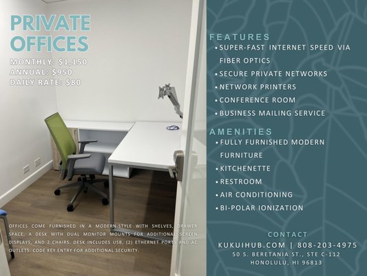 Private Offices - Offices come furnished in a modern-style with shelves, drawer space, a desk with dual monitor mounts for additional screen displays, and 2 chairs. Desk includes usb, (2) ethernet ports and ac outlets. Code key entry for additional security. Private Offices - Offices come furnished in a modern-style with shelves, drawer space, a desk with dual monitor mounts for additional screen displays, and 2 chairs. Desk includes usb, (2) ethernet ports and ac outlets. Code key entry for additional security.