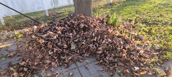 Merry Xmas - Lawncare landscaping snow removal aeration flower beds tress and shrubs and more Merry Xmas - Lawncare landscaping snow removal aeration flower beds tress and shrubs and more