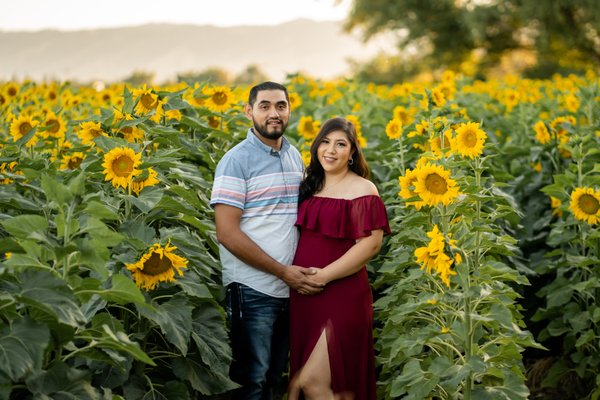 Maternity Portraits - Maternity packages start at $200. Contact me to request a quote! Maternity Portraits - Maternity packages start at $200. Contact me to request a quote!