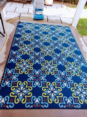 Area Rug - This rug was from an apartment that had children. They didn't think it could be salvaged, but we are happy to say we can get almost all dirt and stains out of any area rug. Area Rug - This rug was from an apartment that had children. They didn't think it could be salvaged, but we are happy to say we can get almost all dirt and stains out of any area rug.