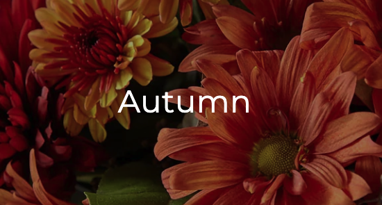 Autumn - As the air begins to cool and the leaves start to fall, make someone's day with an order of autumn flowers from Day Dream Bokay Llc in Jonesborough.