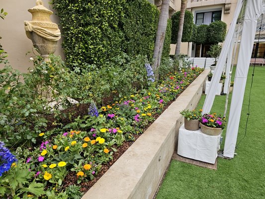 Hotel 3rd floor terrace, apt complex - The flower installation was done in Beverly Hills in a high end hotel client was amazed on how his Landscape ended looking. client satisfaction.
Landscape was done in one section of there building Hotel 3rd floor terrace, apt complex - The flower installation was done in Beverly Hills in a high end hotel client was amazed on how his Landscape ended looking. client satisfaction.
Landscape was done in one section of there building
