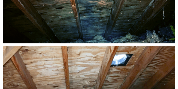 Attic Mold Solutions - Specializing in attic mold removal, we quickly tackle mold growth with targeted products and proven techniques. Our experts not only remove mold but also help you address ventilation and moisture issues, ensuring your attic remains mold-free for the long term. Selling your home or need a quick turnaround? We’re ready to prioritize your project.
Attic Mold: What Naperville Homeowners Need to Know
Attic mold is a hidden threat that can compromise your home’s structure, air quality, and resale value—especially in Naperville’s humid climate. Common causes include poor attic ventilation, inadequate insulation, and trapped moisture, which together create the perfect environment for mold to thrive. Left untreated, attic mold can damage wood, insulation, and even circulate harmful spores throughout your home, putting your family’s health at risk and potentially stalling future sales.
Regular attic inspections and proactive maintenance are critical for protecting your investment. If you notice musty odors, discolored patches, or damp insulation, it’s important to act quickly. Trust the certified professionals at Guardian Mold Prevent Corp for safe, effective attic mold removal and prevention. Call us today for a free attic inspection and protect your home with expert care—(866) 681-6653. Attic Mold Solutions - Specializing in attic mold removal, we quickly tackle mold growth with targeted products and proven techniques. Our experts not only remove mold but also help you address ventilation and moisture issues, ensuring your attic remains mold-free for the long term. Selling your home or need a quick turnaround? We’re ready to prioritize your project.
Attic Mold: What Naperville Homeowners Need to Know
Attic mold is a hidden threat that can compromise your home’s structure, air quality, and resale value—especially in Naperville’s humid climate. Common causes include poor attic ventilation, inadequate insulation, and trapped moisture, which together create the perfect environment for mold to thrive. Left untreated, attic mold can damage wood, insulation, and even circulate harmful spores throughout your home, putting your family’s health at risk and potentially stalling future sales.
Regular attic inspections and proactive maintenance are critical for protecting your investment. If you notice musty odors, discolored patches, or damp insulation, it’s important to act quickly. Trust the certified professionals at Guardian Mold Prevent Corp for safe, effective attic mold removal and prevention. Call us today for a free attic inspection and protect your home with expert care—(866) 681-6653.
