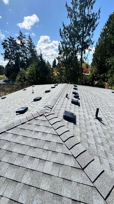 Roof Replacement - 🌪️ Storm damage? We handled it.
A massive tree crushed this Shoreline roof. Trusses smashed. Fascia shredded. Decking cracked wide open.
Here’s how we turned chaos into clean lines and curb appeal:
✅ Full roof replacement with GAF Timberline HDZ in Pewter Gray
✅ Structural repairs, fascia, decking, and trusses rebuilt
✅ Seamless gutters installed
Big thanks to Roberto Rocha and the Hero Roofing crew for delivering a clean, straight install with no shortcuts.
💪 2,488 square feet of storm-proof roofing
🛠️ 20-year product warranty
🔒 Backed by our Crafted with Care Commitment
Got storm damage? Or just want a better roof? We’ve got you covered.
📍 Shoreline | 💰 $25K | 📆 April 2025 Roof Replacement - 🌪️ Storm damage? We handled it.
A massive tree crushed this Shoreline roof. Trusses smashed. Fascia shredded. Decking cracked wide open.
Here’s how we turned chaos into clean lines and curb appeal:
✅ Full roof replacement with GAF Timberline HDZ in Pewter Gray
✅ Structural repairs, fascia, decking, and trusses rebuilt
✅ Seamless gutters installed
Big thanks to Roberto Rocha and the Hero Roofing crew for delivering a clean, straight install with no shortcuts.
💪 2,488 square feet of storm-proof roofing
🛠️ 20-year product warranty
🔒 Backed by our Crafted with Care Commitment
Got storm damage? Or just want a better roof? We’ve got you covered.
📍 Shoreline | 💰 $25K | 📆 April 2025