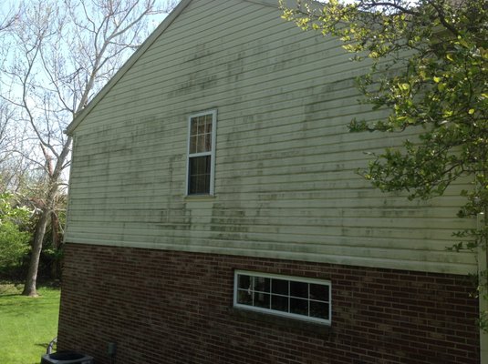 House Wash - This house had a great deal of mold and algae on its walls. Now it looks almost new again! House Wash - This house had a great deal of mold and algae on its walls. Now it looks almost new again!