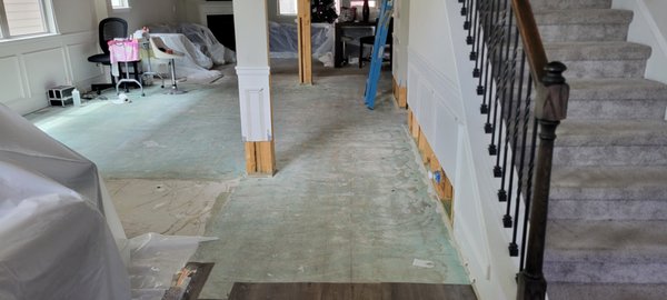 Recent Projects - Recent Projects
