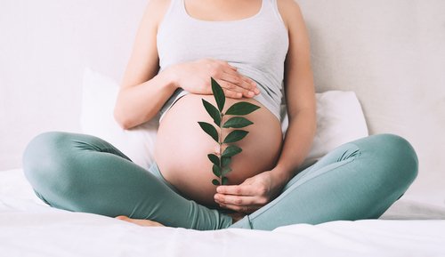 Fertility Acupuncture - The research evidence for the benefits of fertility acupuncture is so strong that many Los Angeles-area physicians refer their patients to us. We design a 3 to 6 month individualized plan to calm your body and help it get ready for pregnancy. We also provide supportive acupuncture for women working with IVF (in vitro fertilization) specialists to improve the chances for successful implantation. We also provide acupuncture for men’s infertility issues. Fertility Acupuncture - The research evidence for the benefits of fertility acupuncture is so strong that many Los Angeles-area physicians refer their patients to us. We design a 3 to 6 month individualized plan to calm your body and help it get ready for pregnancy. We also provide supportive acupuncture for women working with IVF (in vitro fertilization) specialists to improve the chances for successful implantation. We also provide acupuncture for men’s infertility issues.