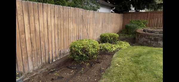 Clean up and put rocks - This was a residential project we clean up and take everything out we also spray weed killer prune small bushes sprinkler repair make level and put fabric put staples and put 3 yards 1’2’3’ rock Clean up and put rocks - This was a residential project we clean up and take everything out we also spray weed killer prune small bushes sprinkler repair make level and put fabric put staples and put 3 yards 1’2’3’ rock