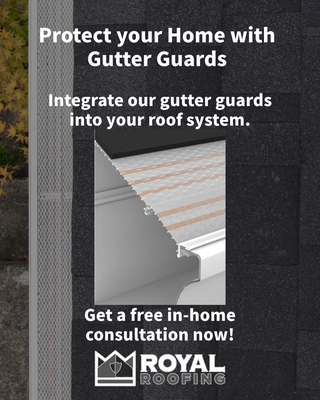 Gutter Guards - Fall is here – time for gutter guard upgrades! 🍁
Forget the hassle of ladder cleaning! With over 500,000 Americans injured in ladder accidents yearly, it's time to upgrade to Klean Gutters. Our system features a CopperCare™ micromesh filter, blocking debris, preventing moss and algae growth, and ensuring smooth water flow. Plus, it integrates seamlessly into your roofing system for lasting protection.
📧 Contact us for a free consultation: contact@royalroofingservice.com
📞 206-600-7428 Gutter Guards - Fall is here – time for gutter guard upgrades! 🍁
Forget the hassle of ladder cleaning! With over 500,000 Americans injured in ladder accidents yearly, it's time to upgrade to Klean Gutters. Our system features a CopperCare™ micromesh filter, blocking debris, preventing moss and algae growth, and ensuring smooth water flow. Plus, it integrates seamlessly into your roofing system for lasting protection.
📧 Contact us for a free consultation: contact@royalroofingservice.com
📞 206-600-7428