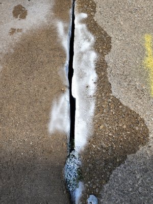 Yellowjacket extermination - Here's a breakdown of our process:
Nest Removal: We tackle nests using a specialized duster and aerosol spraying.
Warranty Included:
Our wasp treatment comes with a season-end warranty, ensuring your peace of mind.
P.S. Dive deeper into various wasp species and our treatments on our website. Visit mypestcrew.com, scroll to the pest gallery, and select wasps. Alternatively, check out https://mypestcrew.com/bees-wasps/ for direct access. Yellowjacket extermination - Here's a breakdown of our process:
Nest Removal: We tackle nests using a specialized duster and aerosol spraying.
Warranty Included:
Our wasp treatment comes with a season-end warranty, ensuring your peace of mind.
P.S. Dive deeper into various wasp species and our treatments on our website. Visit mypestcrew.com, scroll to the pest gallery, and select wasps. Alternatively, check out https://mypestcrew.com/bees-wasps/ for direct access.