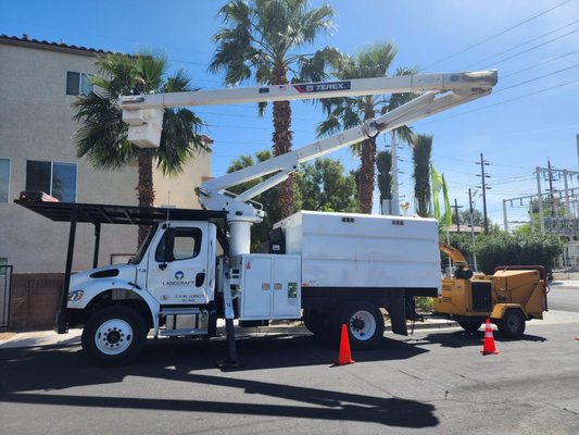 Tree Division - Landcraft’s Tree Division is led by our licensed Arborists. We have a tree maintenance program that contracts our Tree Crew monthly to systematically thin trees, remove dead, diseased, broken branches, and reduce the density of healthy branches, which increases light penetration and air movement. The result of this service is healthier trees within the entire community and a reduced chance of wind damage and branch failure. Our Tree Division responds to communities with tree damage following windstorms to remove fallen trees and trim, and thin those that were damaged. This crew also performs seasonal palm tree trimming, hardwood pruning and rejuvenation, and tree removal by the root ball or with stump grinding.