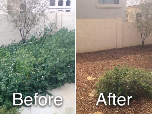 Weed Prevention - Easy living weed free, call Don's Bees, Termites and Weeds for commercial or Residential weed prevention and control. Weeds can quickly get out of hand so let us take care of your weeds for you. 6 Month warranty on our weed prevention services.