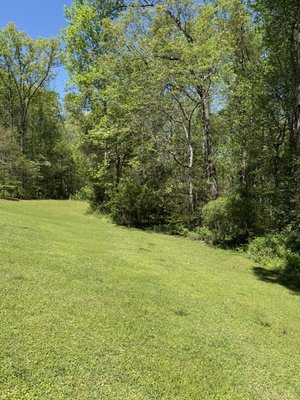 Forestry mulching completed job - This was a small job I completed in oconee county GA. 
This customer wanted their backyard opened up, and I did just that and it looks great!