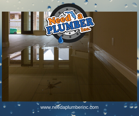 Leak Detection in Broward County. Ft Lauderdale. Pompono beach. Tamarac. Plantation, Boca Raton, Wilton Manors, & Coral Spring - When you suspect that your home has a water leak somewhere in its plumbing system, it’s time to call a professional to get the help that you need. Contact Need a Plumber. 10% off for new customers in Broward County. Fort Lauderdale. Pompono beach. Tamarac. Plantation, Boca Raton, Wilton Manors, and Coral Springs. Leak Detection in Broward County. Ft Lauderdale. Pompono beach. Tamarac. Plantation, Boca Raton, Wilton Manors, & Coral Spring - When you suspect that your home has a water leak somewhere in its plumbing system, it’s time to call a professional to get the help that you need. Contact Need a Plumber. 10% off for new customers in Broward County. Fort Lauderdale. Pompono beach. Tamarac. Plantation, Boca Raton, Wilton Manors, and Coral Springs.