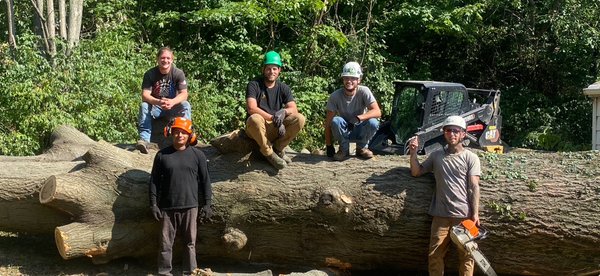 The Crew - Meet the crew that makes it all happen! Skilled, hardworking, and safety-focused, our team takes pride in tackling even the toughest tree removals with precision and care. Whether it’s storm cleanup, trimming, or full removals, we’ve got the training and the muscle to get it done right. And while we’re serious about safety and quality, we’re not above cracking a joke (or two) to keep the day moving. Think of us as the perfect mix of professionalism and personality—you’ll get expert results with a crew that actually enjoys what they do.