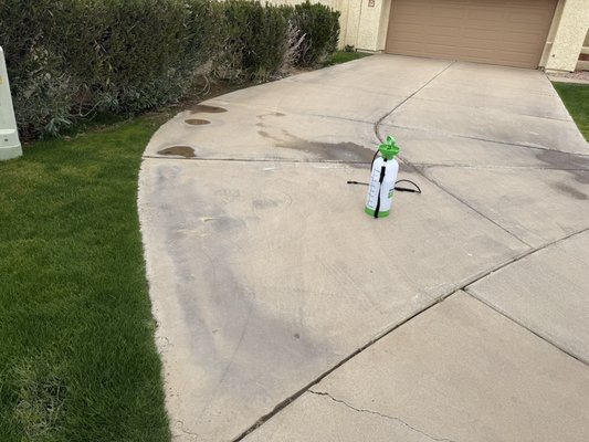 Driveway - Driveway was hot water pressure washed with minor stain treatment.