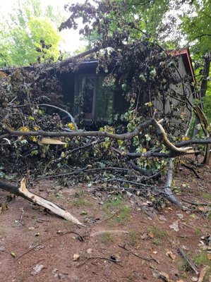 Tree Removal - This customer contacted us in an emergency situation as there was a tree on their home. We were able to remove the tree and tarp the roof. Tree Removal - This customer contacted us in an emergency situation as there was a tree on their home. We were able to remove the tree and tarp the roof.