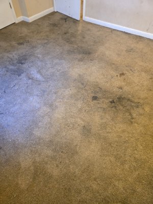 Floor Restoration Services - The Floor Doctor has ben proudly serving Louisiana with expert Floor Restoration, Carpet Steam Cleaning, & Upholstery Care. Floor Restoration Services - The Floor Doctor has ben proudly serving Louisiana with expert Floor Restoration, Carpet Steam Cleaning, & Upholstery Care.