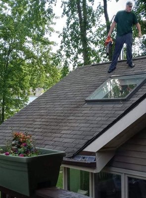 Skylight - This roof was blown off and sticks removed, then the skylight was hand washed. Sometimes we use our RO system to clean a skylight depending on the pitch of the roof.