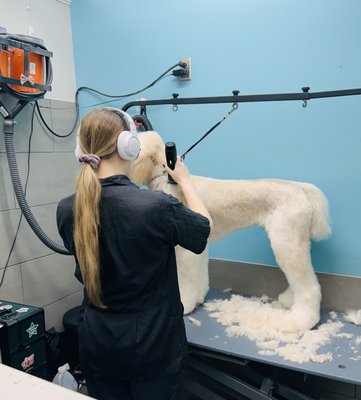 Professional Grooming at petbar - Katy - Our groomers are here to make your pet's spa day stress-free in our bright, beautiful, pristine setting. Grooms includes haircut to your specifications, bath, brush, dry, gland expression, ear clean and nail trim. Prices are based on the size of your dog. 

Pup just need a bath? Our pet care team offers a full Bath & Brush service as well!