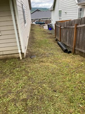 Before & Afters - Call us today for all your lawn care needs! Before & Afters - Call us today for all your lawn care needs!