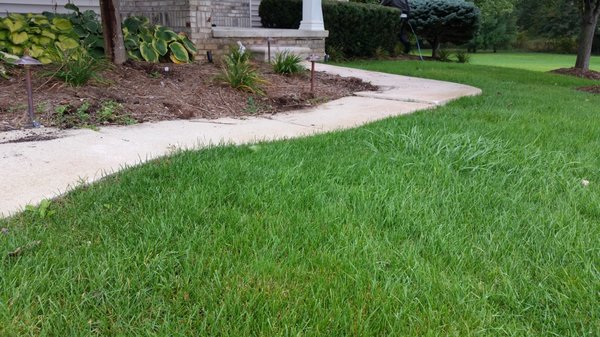 Concrete Mudjacking/Leveling - Do you have concrete that has settled and its causing a trip hazard? Let ACE Mudjacking level it back up for you. Mudjacking is a process where a series of holes are drilled into the concrete and a concrete sand slurry is pumped into the holes causing the settled slab to be brought back to its original pour line